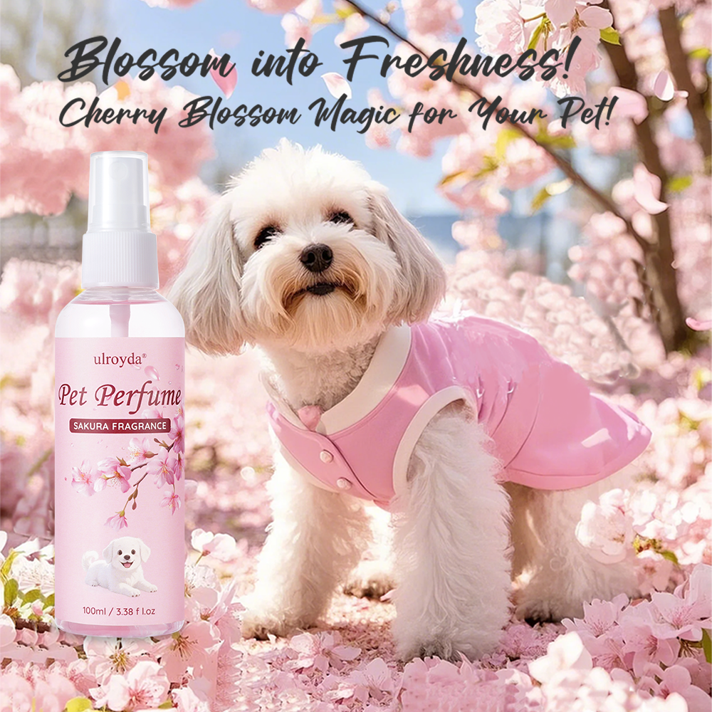 Home Fragrance Use - Sakura Pet Perfume Spray Long Lasting