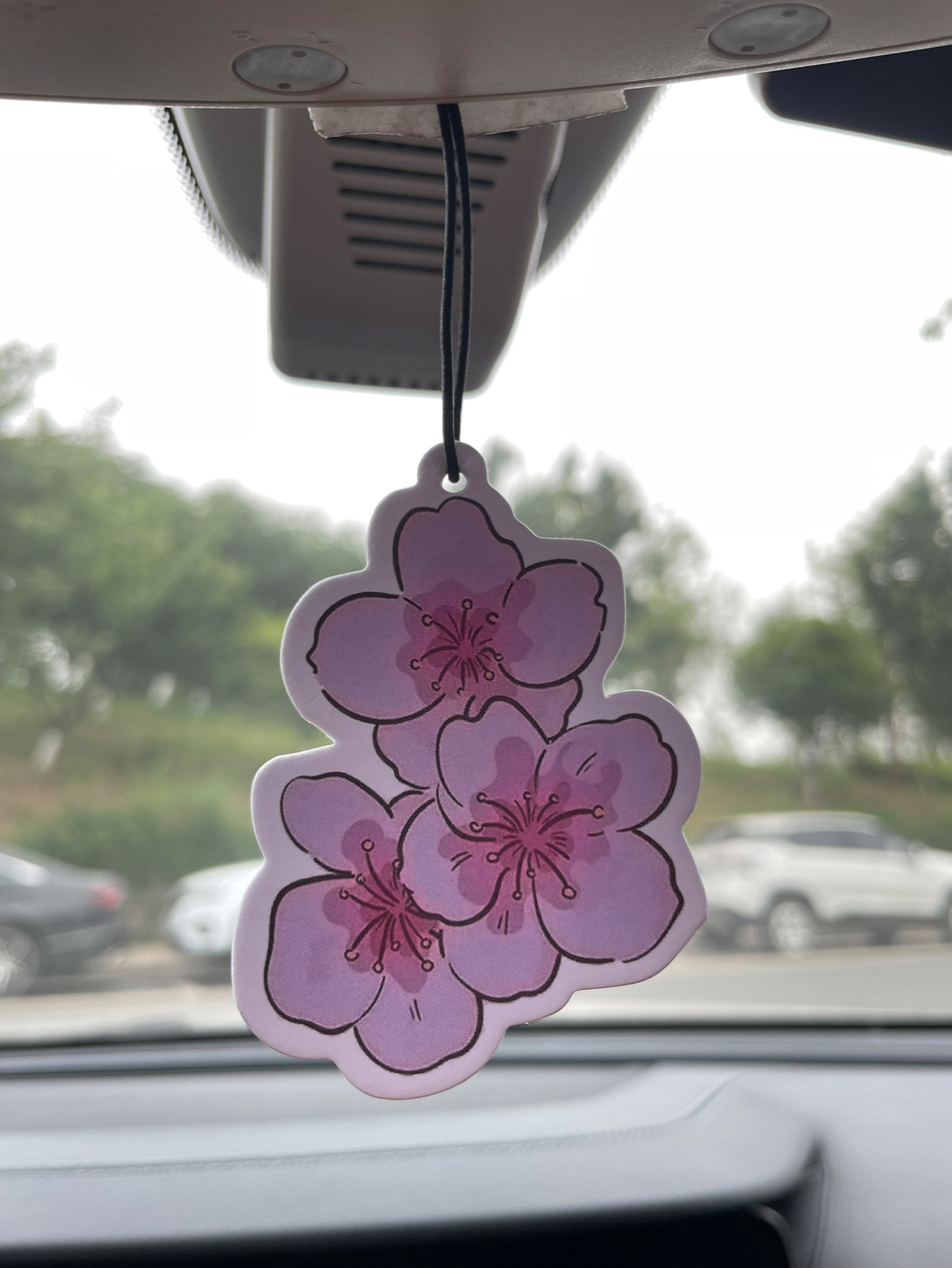 Sakura/Freesia Fresh Scent Fiv - Home Fragrance Use incelemesi ve fiyatı